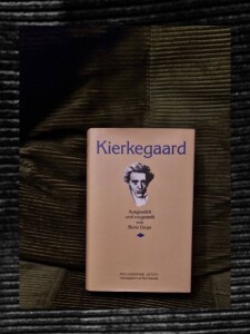 Boris Groys, Kierkegaard, Wien 1996; 25,00€ IMG_0677